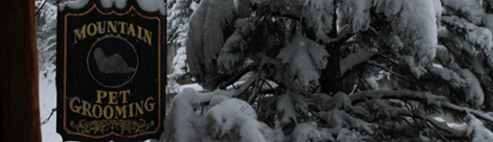 Mountain Pet Grooming